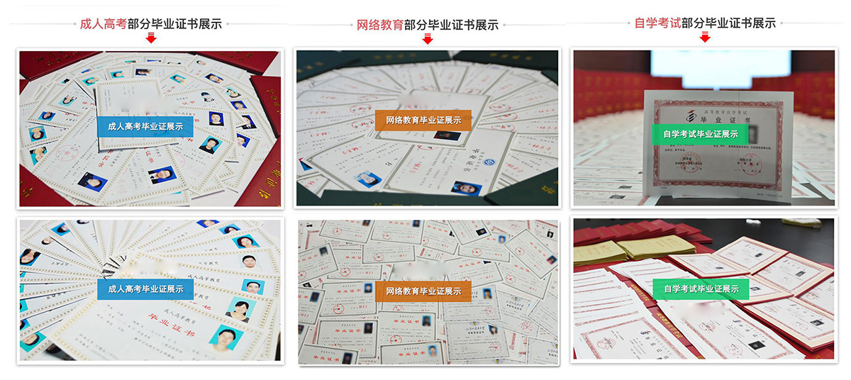 盛世岭南教育学员风采